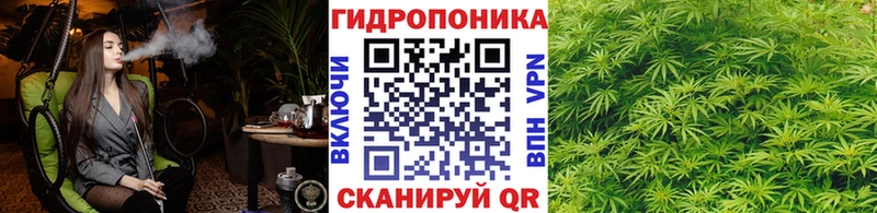 Каннабис план  Южно-Сухокумск 